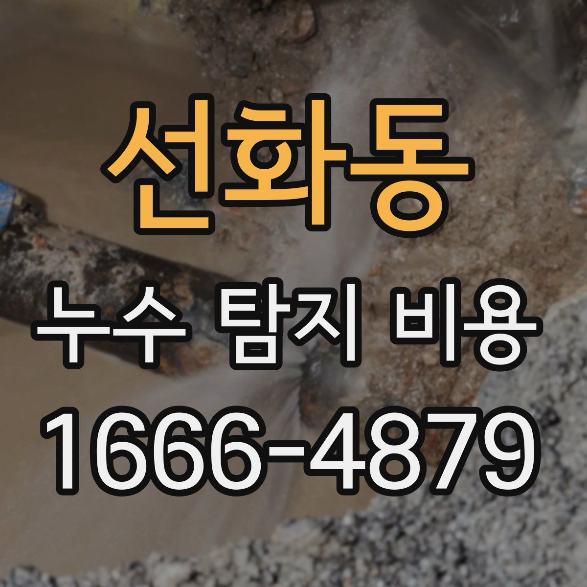 선화동 누수 탐지 비용