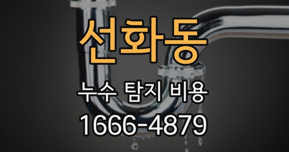 선화동 누수 탐지 비용