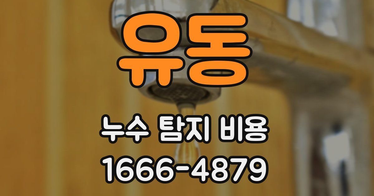 유동 누수 탐지 비용