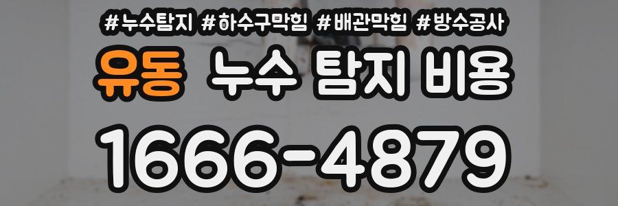 유동 누수 탐지 비용