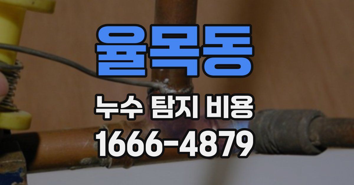 율목동 누수 탐지 비용