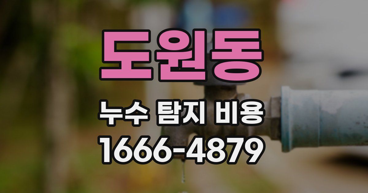 도원동 누수 탐지 비용