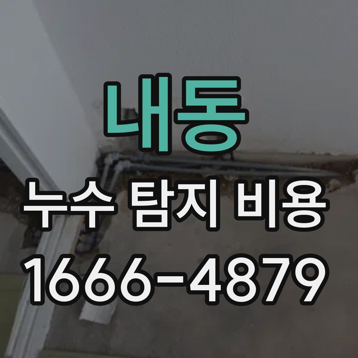 내동 누수 탐지 비용