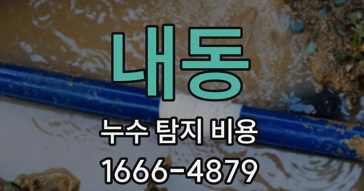 내동 누수 탐지 비용