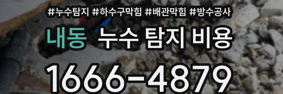 내동 누수 탐지 비용