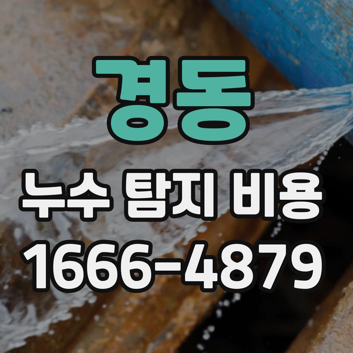 경동 누수 탐지 비용