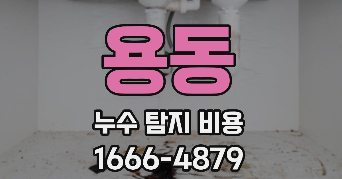 용동 누수 탐지 비용