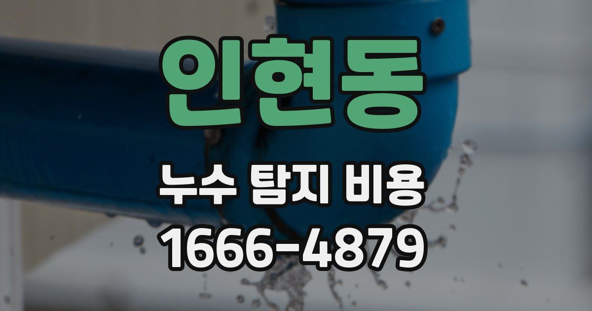 인현동 누수 탐지 비용