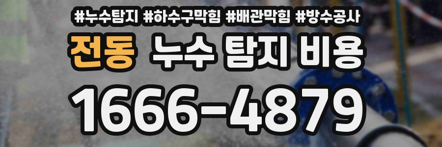 전동 누수 탐지 비용