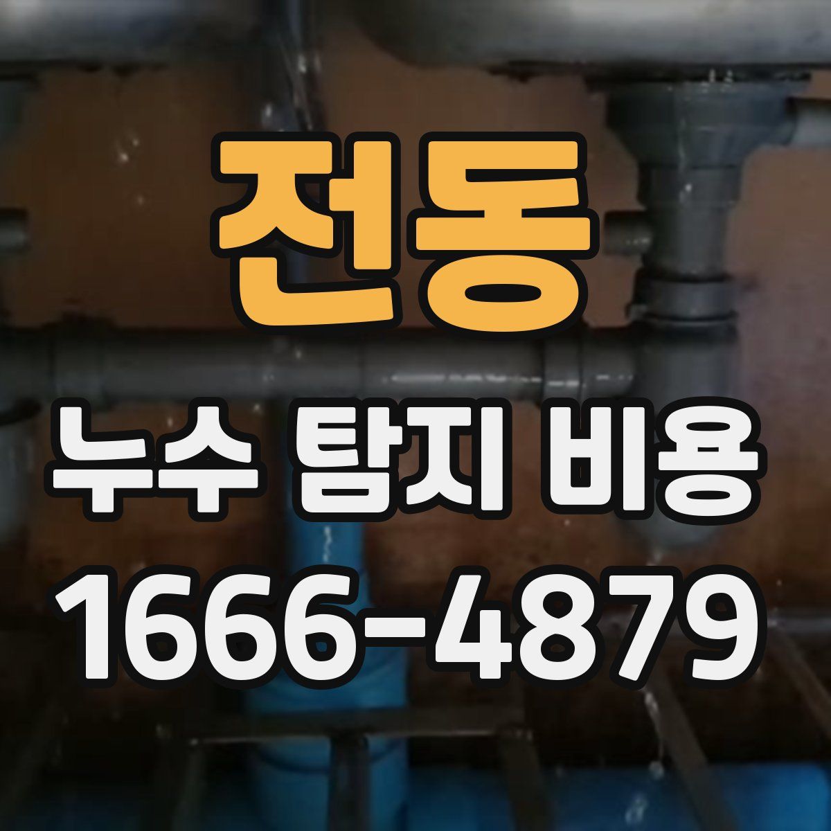 전동 누수 탐지 비용