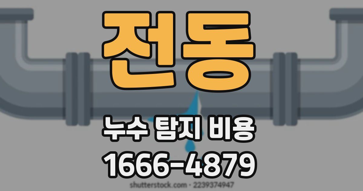 전동 누수 탐지 비용