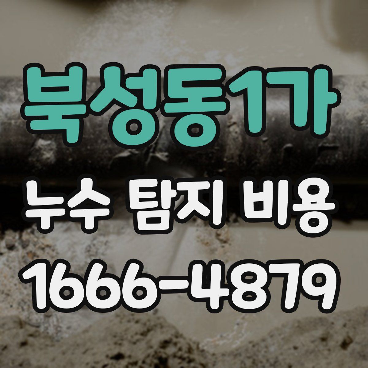 북성동1가 누수 탐지 비용