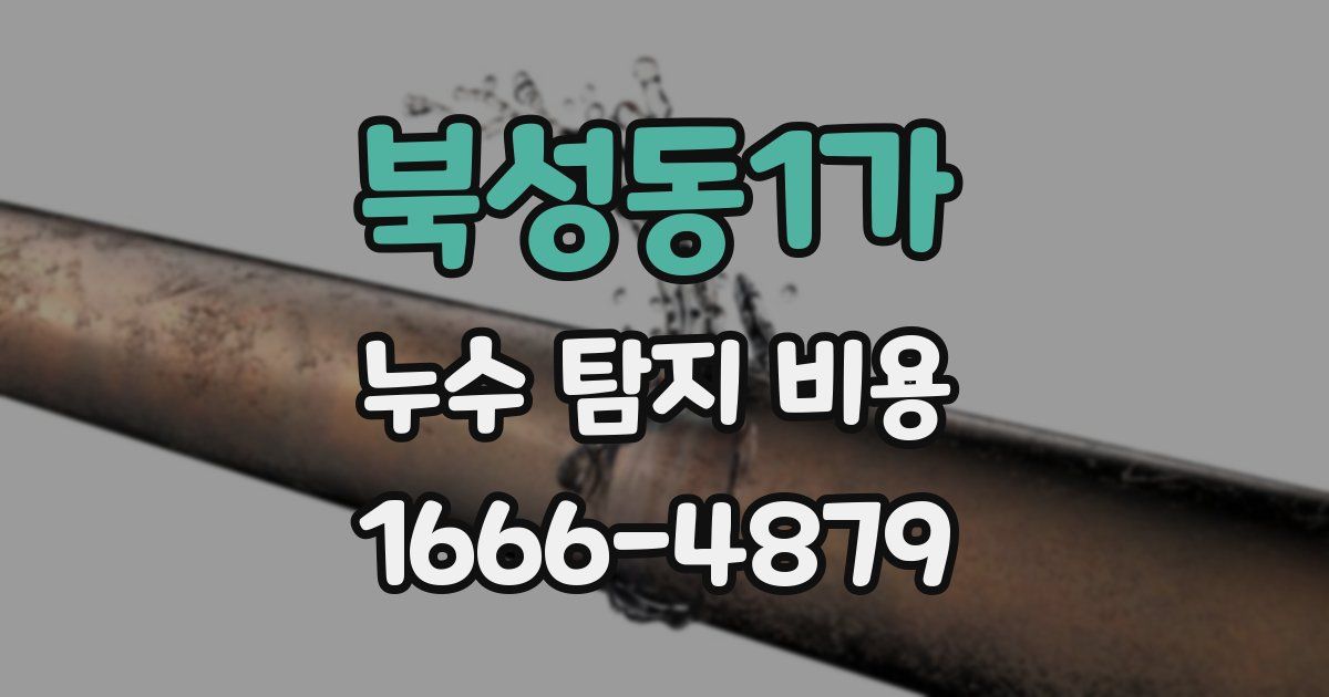 북성동1가 누수 탐지 비용