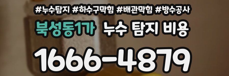 북성동1가 누수 탐지 비용