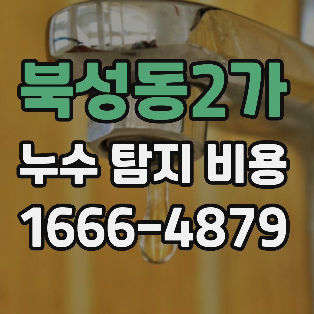 북성동2가 누수 탐지 비용