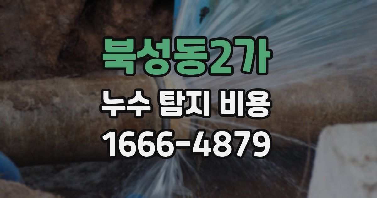 북성동2가 누수 탐지 비용