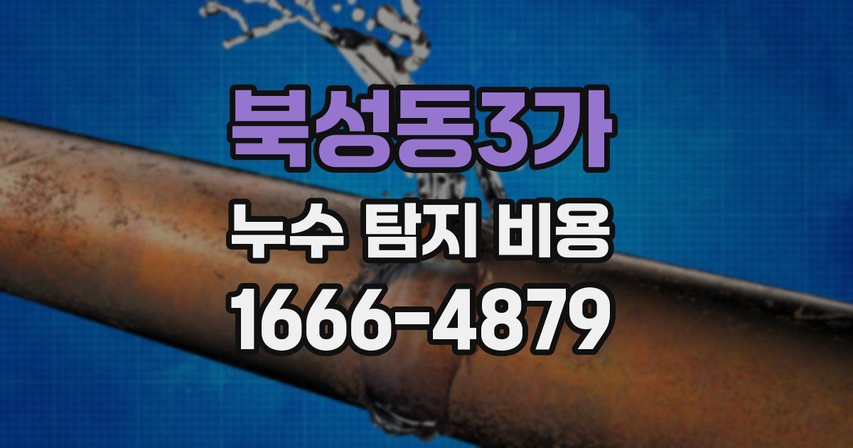 북성동3가 누수 탐지 비용
