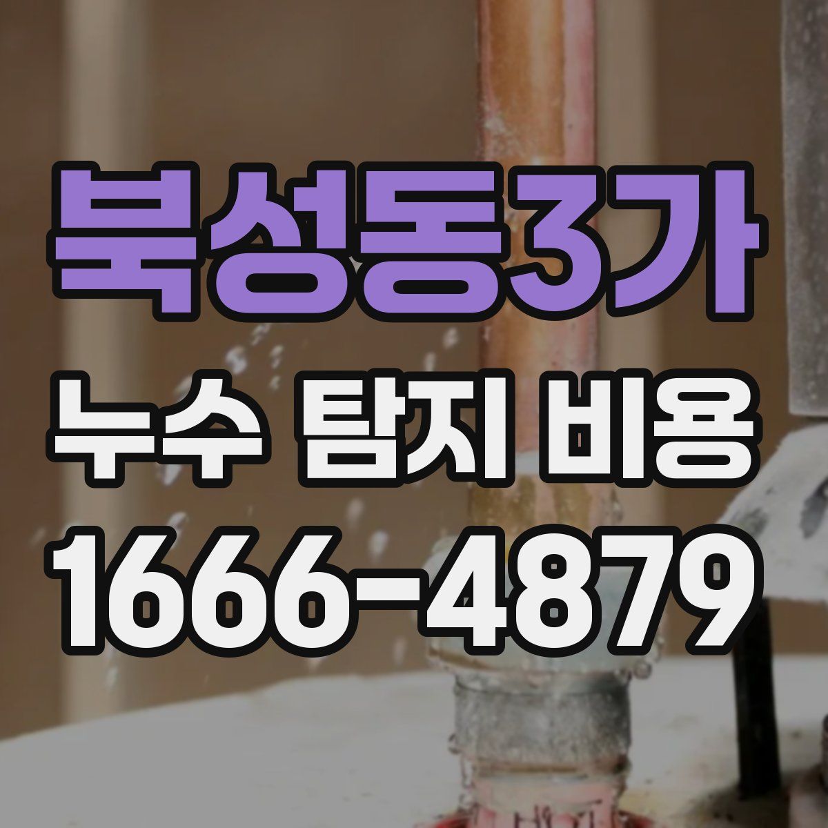 북성동3가 누수 탐지 비용