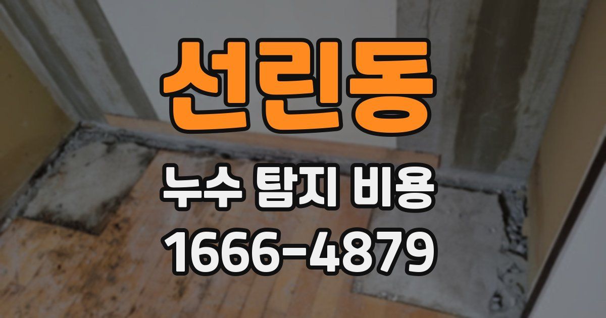 선린동 누수 탐지 비용