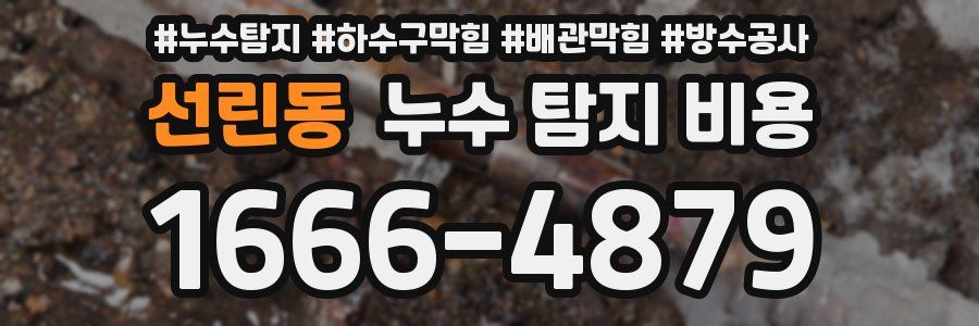선린동 누수 탐지 비용