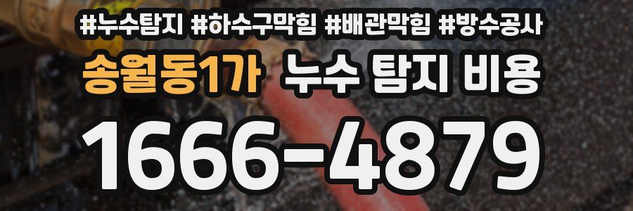 송월동1가 누수 탐지 비용