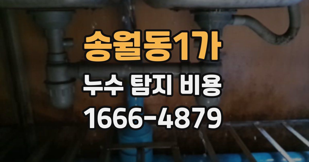 송월동1가 누수 탐지 비용