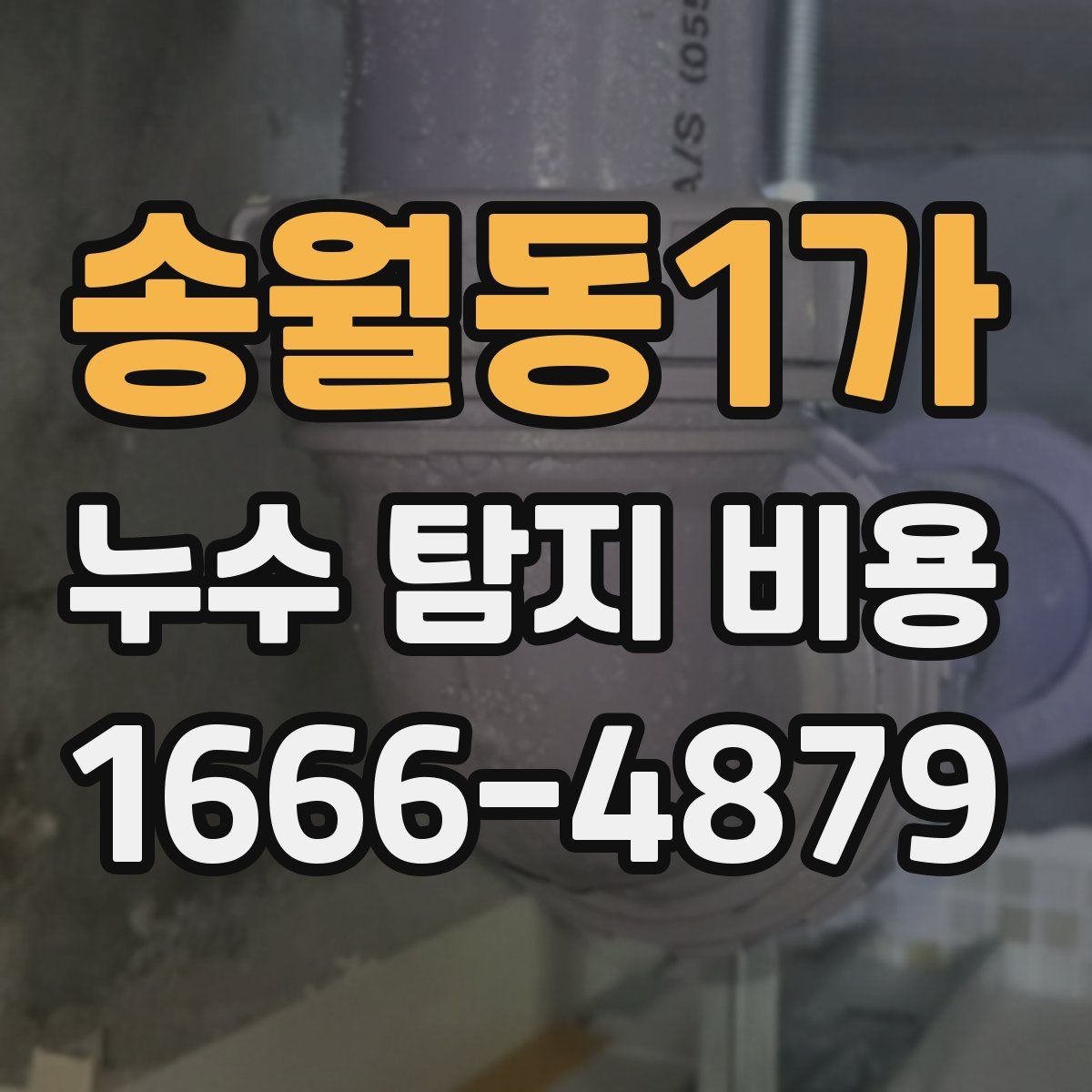 송월동1가 누수 탐지 비용