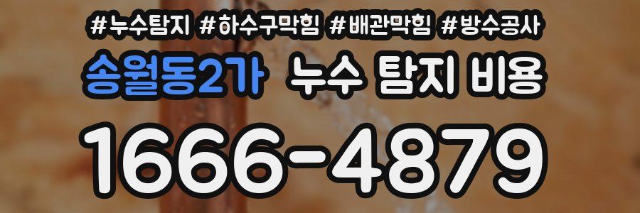 송월동2가 누수 탐지 비용