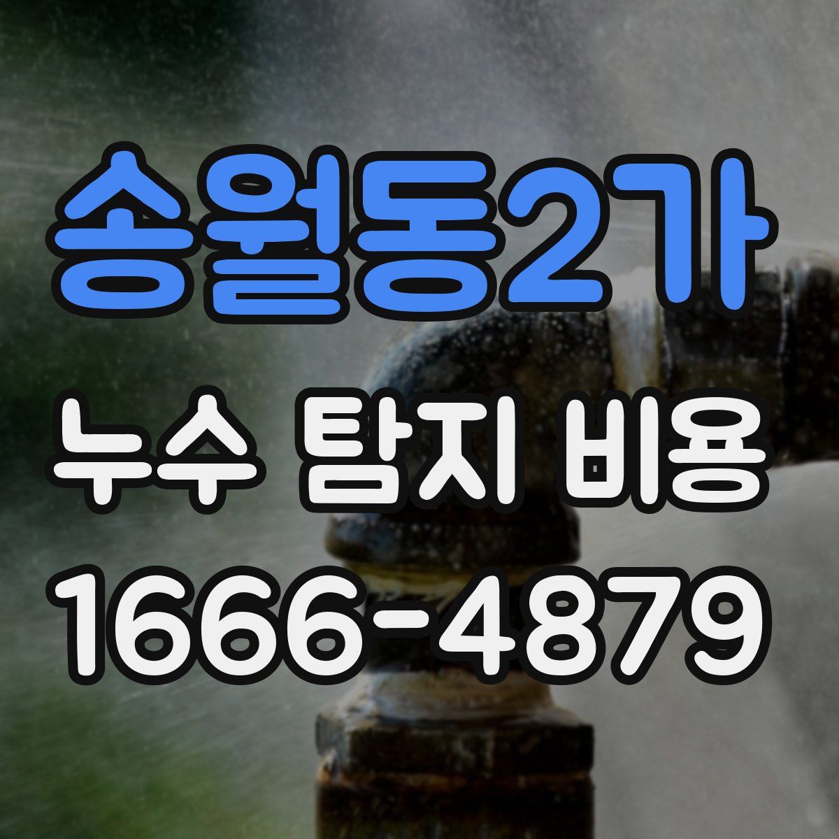 송월동2가 누수 탐지 비용