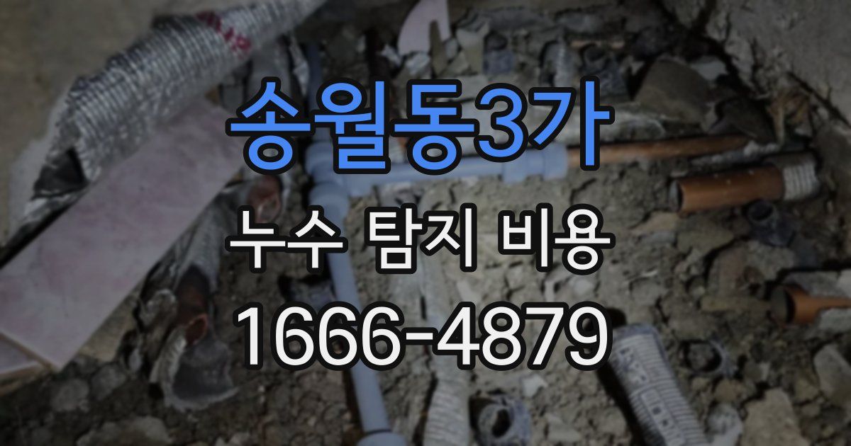 송월동3가 누수 탐지 비용