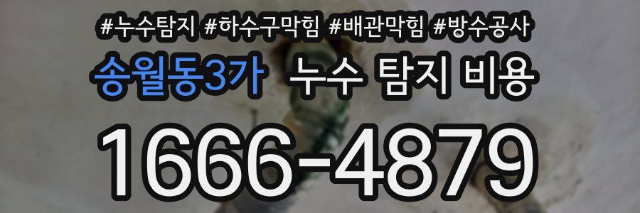 송월동3가 누수 탐지 비용