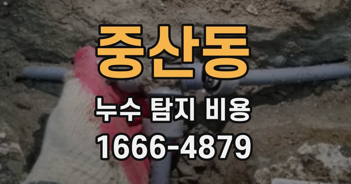 중산동 누수 탐지 비용