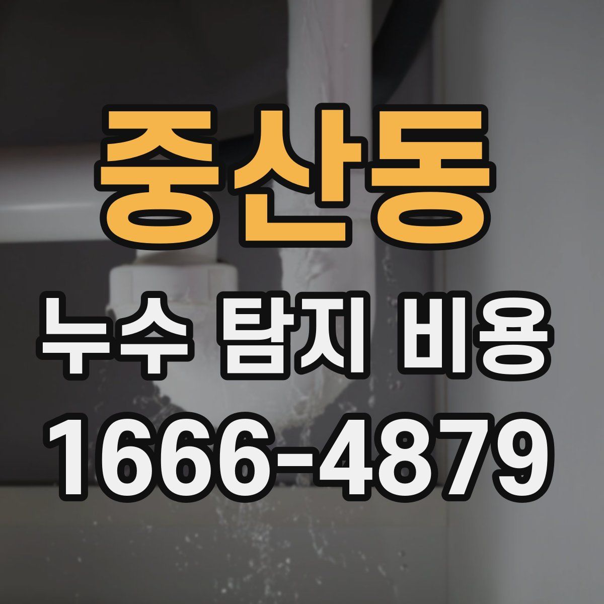 중산동 누수 탐지 비용