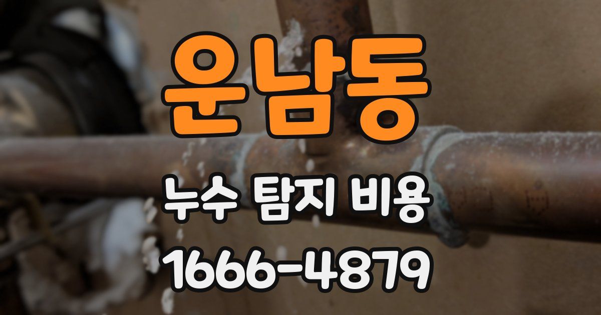 운남동 누수 탐지 비용