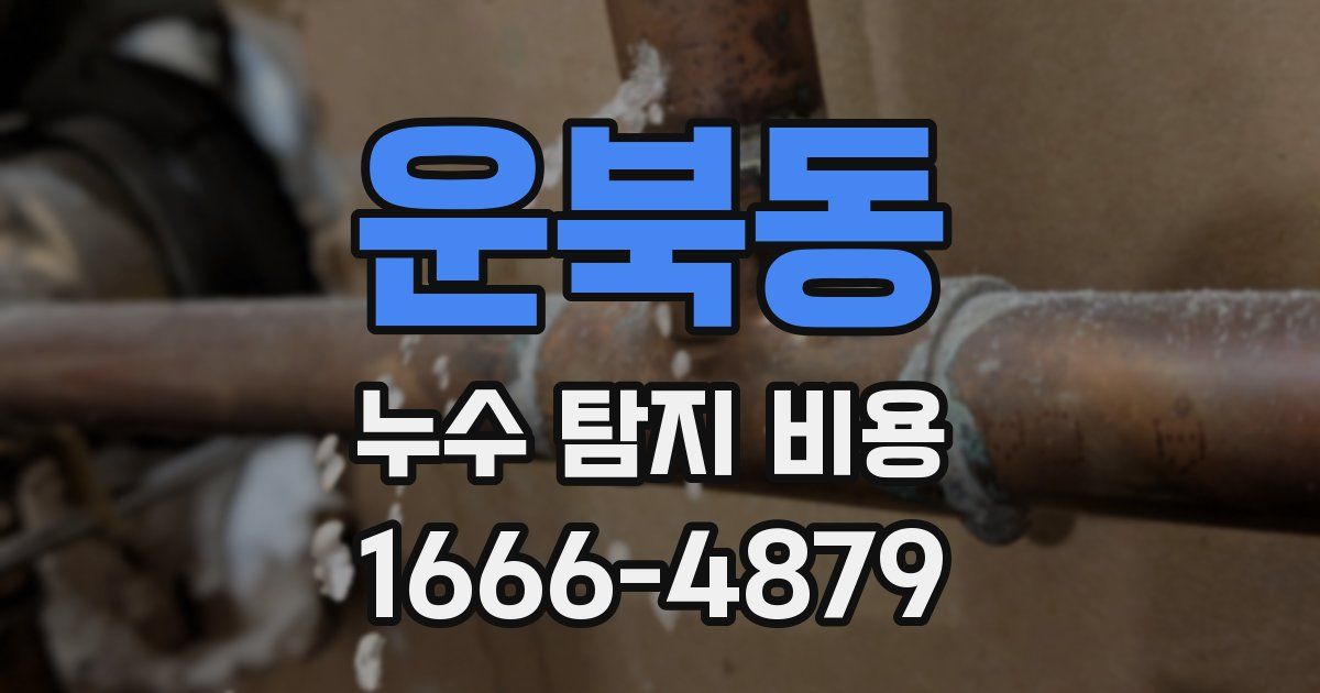 운북동 누수 탐지 비용
