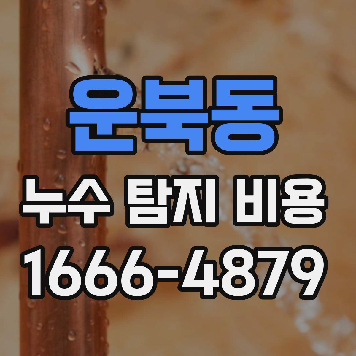 운북동 누수 탐지 비용