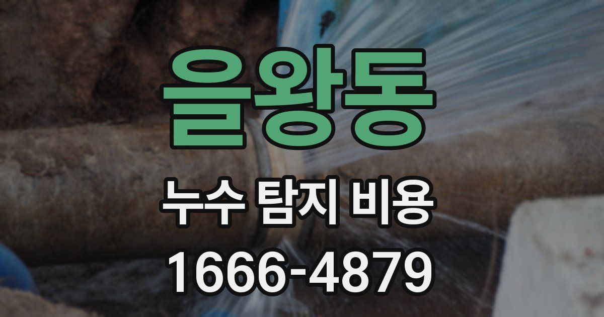 을왕동 누수 탐지 비용
