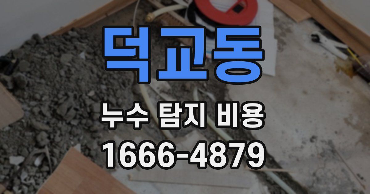 덕교동 누수 탐지 비용