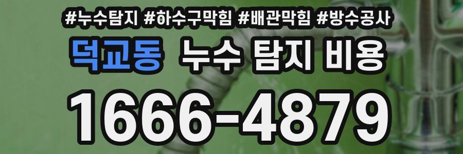 덕교동 누수 탐지 비용