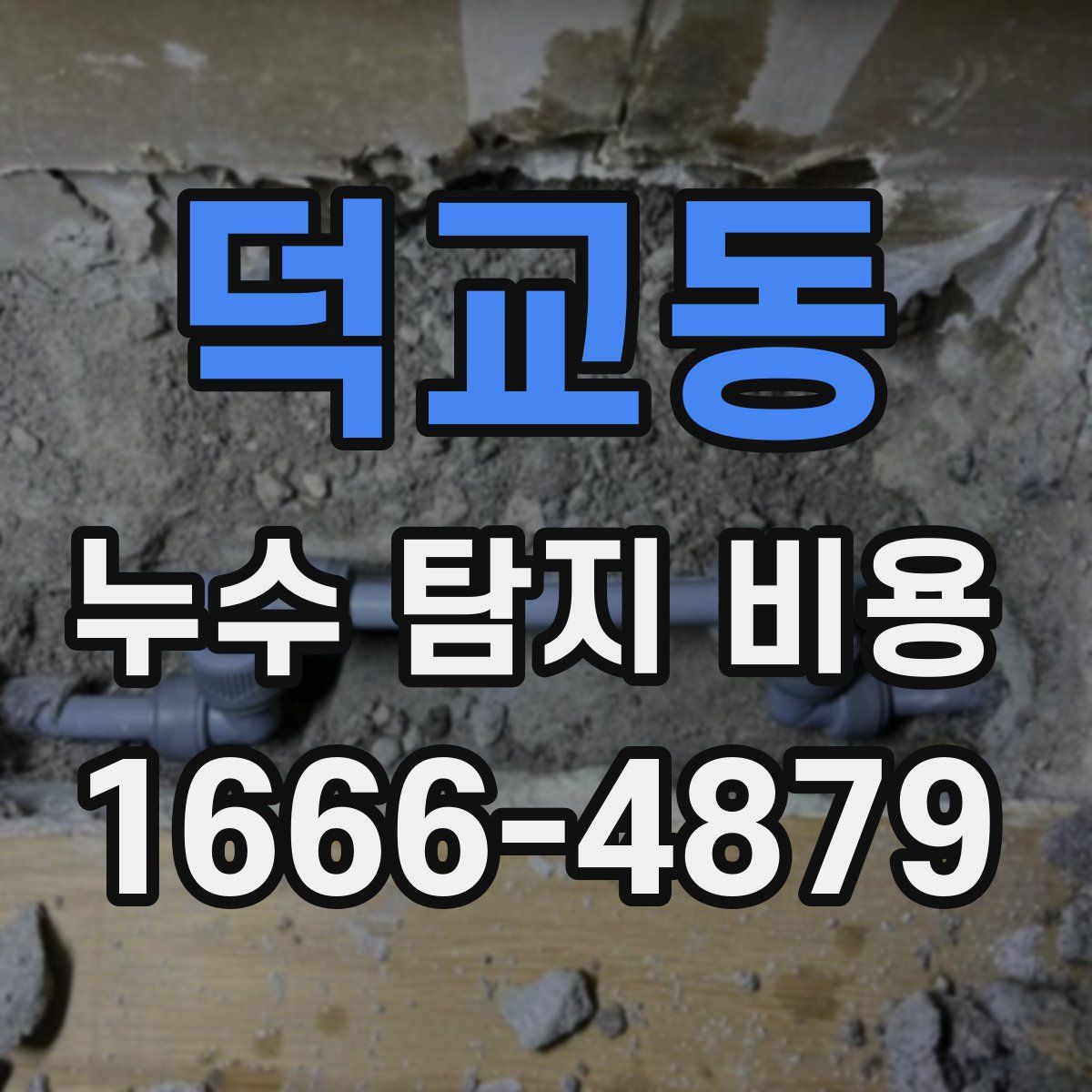 덕교동 누수 탐지 비용