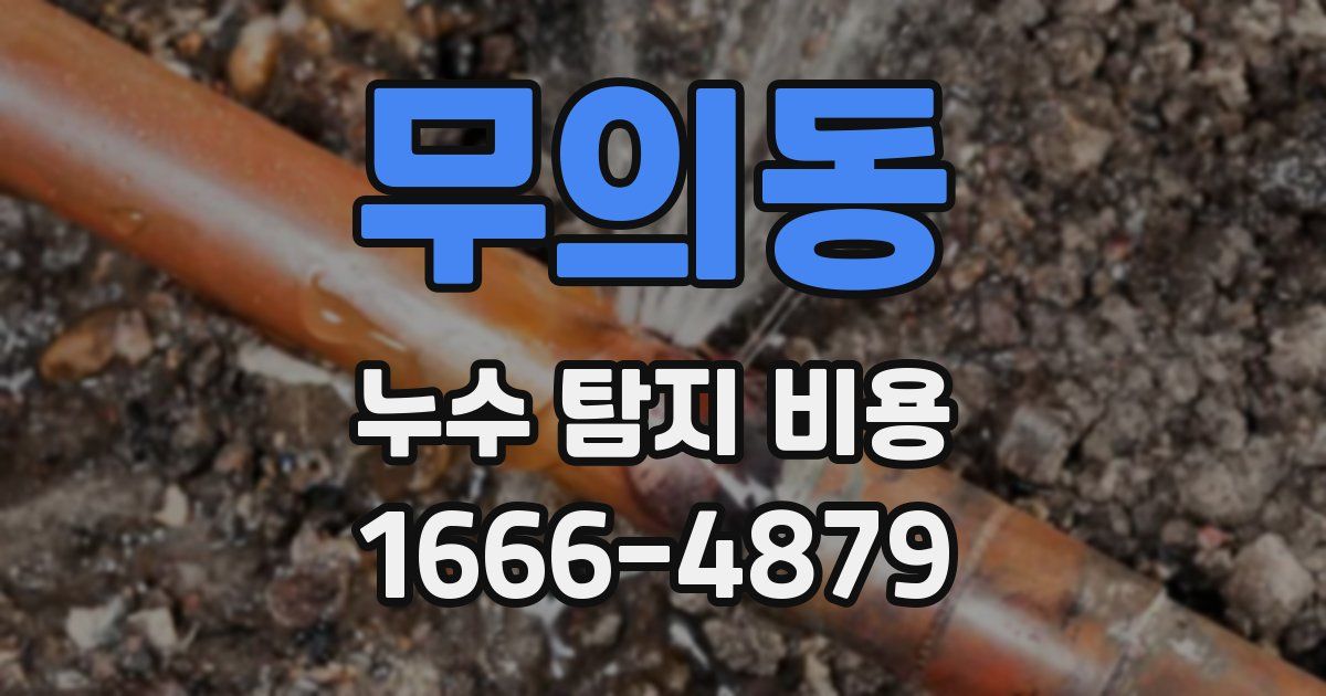 무의동 누수 탐지 비용