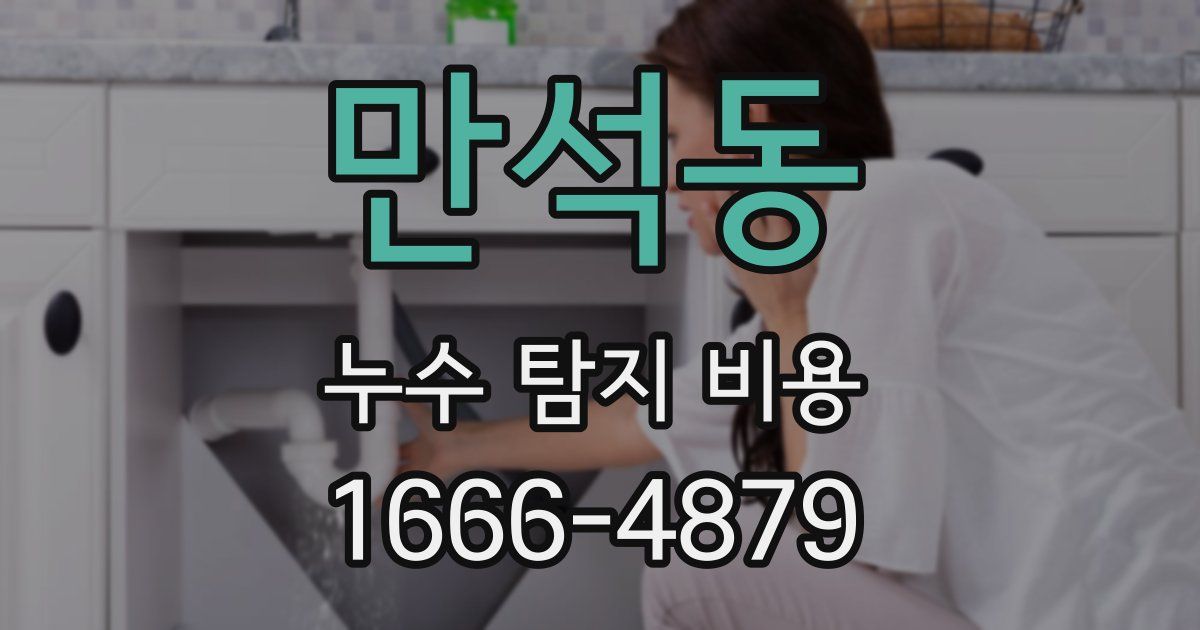 만석동 누수 탐지 비용