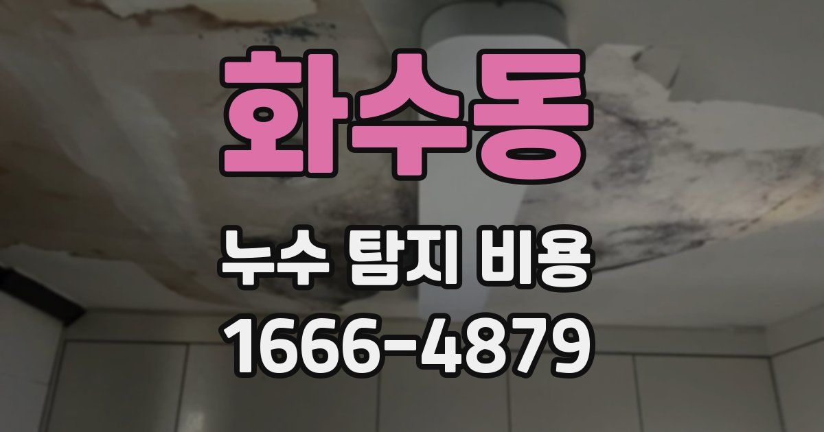 화수동 누수 탐지 비용