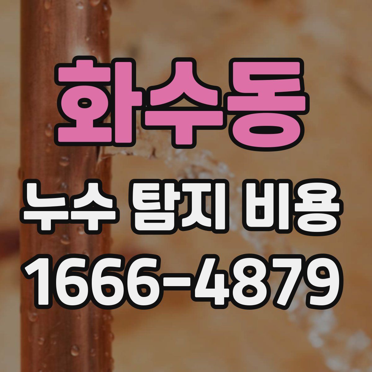 화수동 누수 탐지 비용