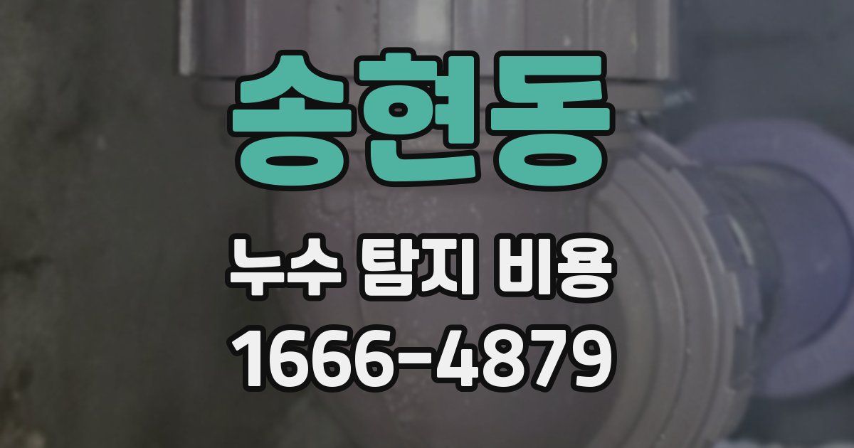 송현동 누수 탐지 비용
