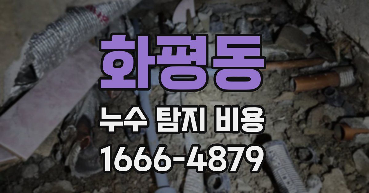 화평동 누수 탐지 비용