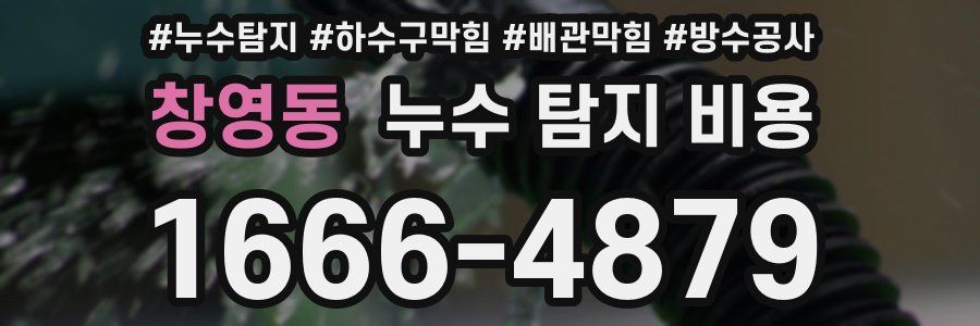 창영동 누수 탐지 비용