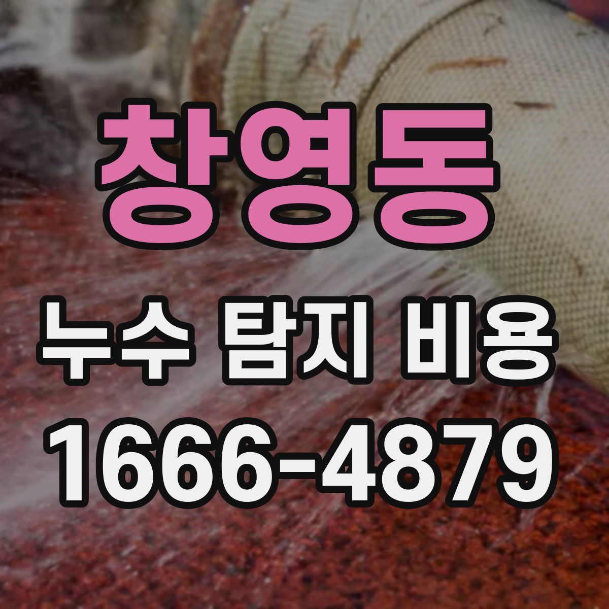 창영동 누수 탐지 비용