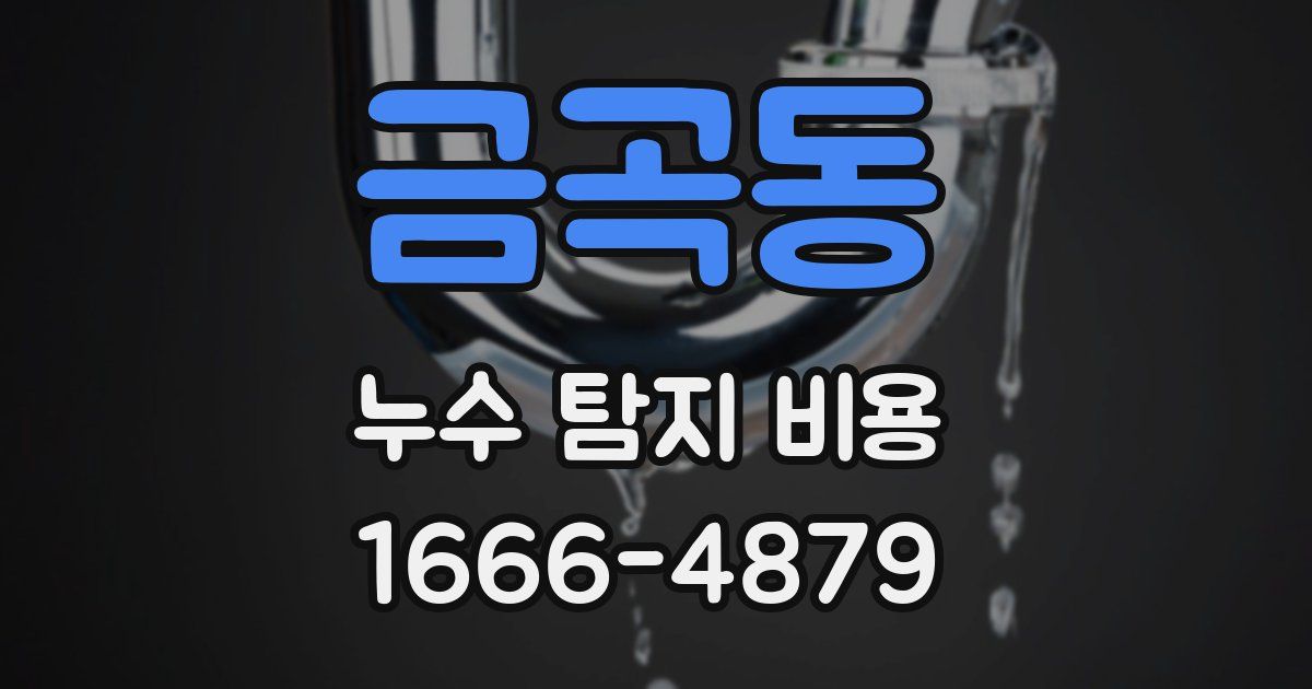 금곡동 누수 탐지 비용