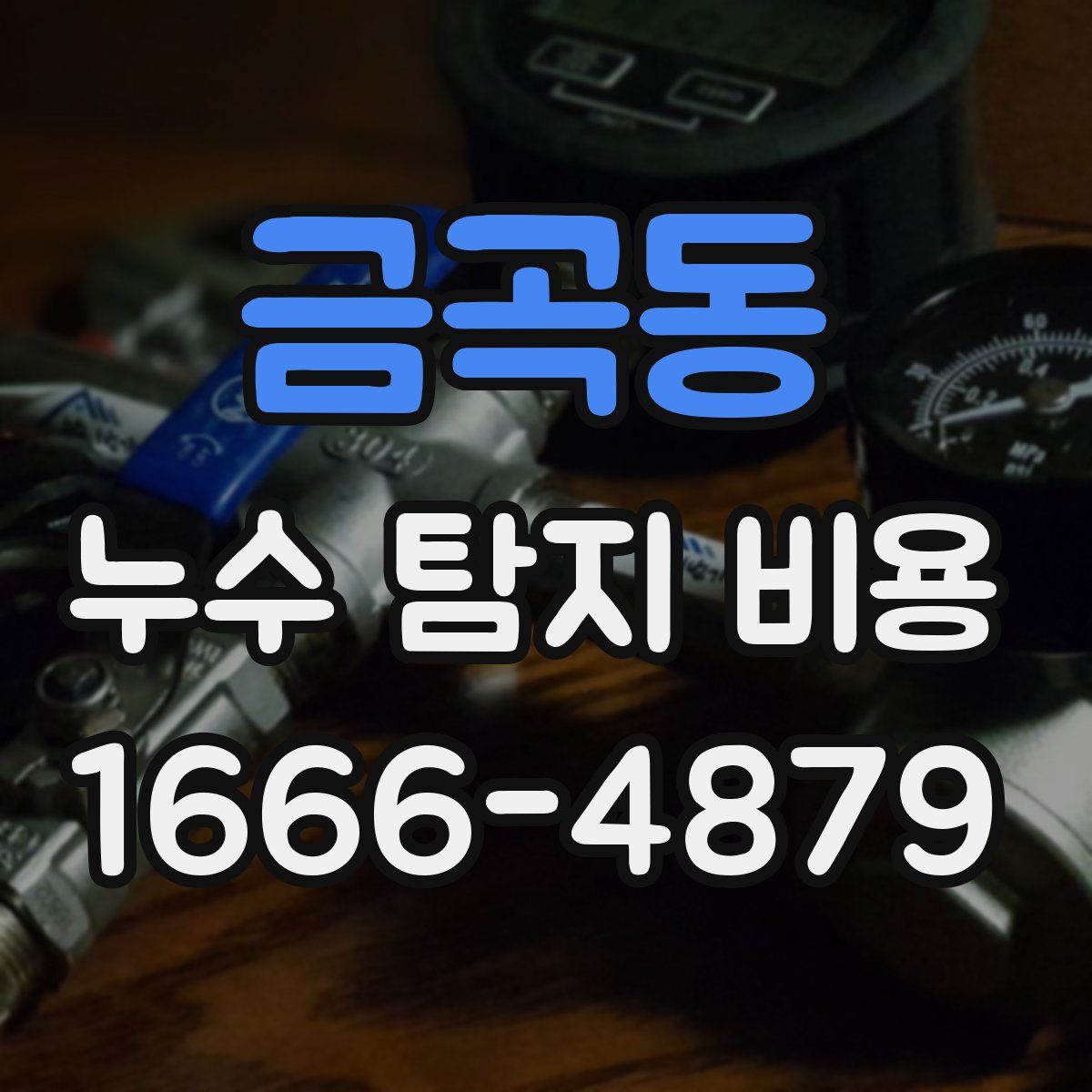 금곡동 누수 탐지 비용